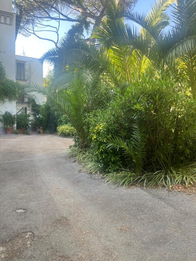 Mediterraneo Apartment إيركولانو المظهر الخارجي الصورة