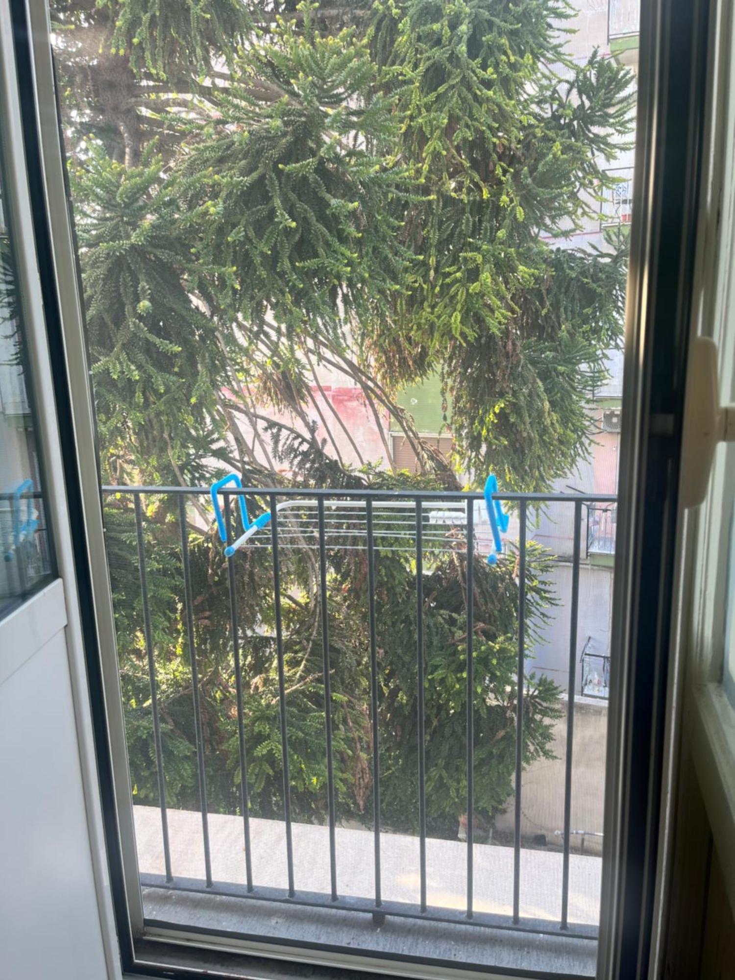 Mediterraneo Apartment إيركولانو المظهر الخارجي الصورة